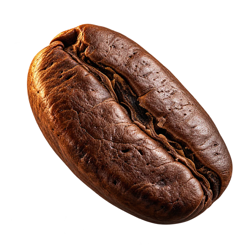 A single roasted coffee bean in copper studio light
